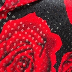 Carina 肩パッド付きジャケット Mの画像