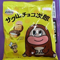 サク山チョコ次郎　デリシィ　56g　