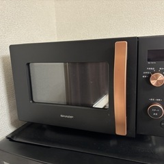SHARP RE-TS174-B 2024年製
