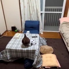 【無料】カーペット（170х280cm.茶色）