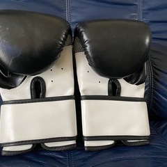 値下げ！NOVAボクシンググローブの画像