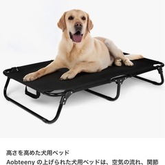 【未使用】 大型犬用 折りたたみベッド XL 