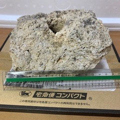 観賞魚用石