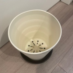 7号プランターの画像