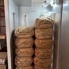 【岐阜県産ハツシモ】玄米30kg