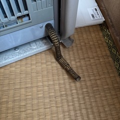 窓枠エアコンの画像