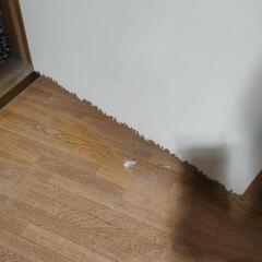 木製トイレドア　レバーハンドル鍵つきの画像