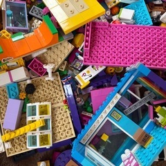 🌈LEGO Friends 41704 の画像