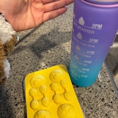 水筒　熊　氷