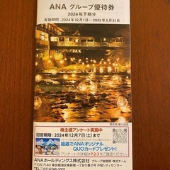 ANA グループ優待券　冊子