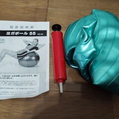 【 カワセ IMC-58 鉄人倶楽部 ヨガボール 55CM トレーニング 】の画像