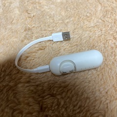 イヤホン