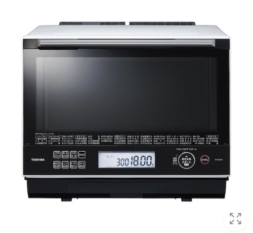 TOSHIBA　石窯ドーム