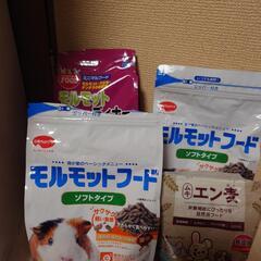 モルモットの餌の画像