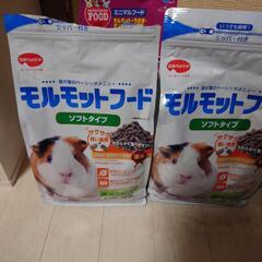 モルモットの餌