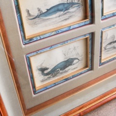 【武蔵小山店】 スコットランド 鯨 絵画 資料 アート ヴィンテージ 版画 銅版画 海洋生物 壁掛け インテリア クジラ アンティーク 海 レトロ雑貨  THE NATURALIST'S LIBRARY WILLIAM JARDINE WILLIAM LIZARDS JAMES HOPE STEWART Spermaceti Whale の画像