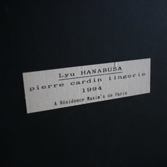 【武蔵小山店】 ビンテージ フォト Lyu HANABUSA pierre cardin lingerie 1994 ピエール・カルダン アート フォトフレーム 写真 壁掛け インテリア 広告写真 ランジェリー ポートレートの画像