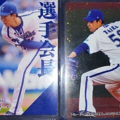 Calbee プロ野球チップスカード 2024 大貫晋一 202...