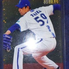 Calbee プロ野球チップスカード 2024 大貫晋一 2023 平良拳太郎 2枚セットの画像
