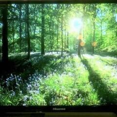 高年式‼️Hisense液晶テレビ32㌅ 2020年製!!