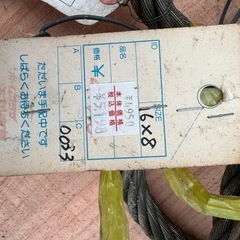 台付ワイヤー16mm×8mの画像