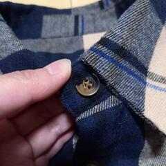レディース　シャツの画像