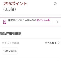 下敷きカーペットの画像