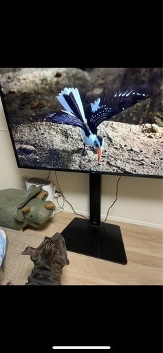 ブラック　テレビスタンド