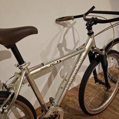OLD MTB Panasonic XC-AX