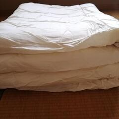 掛け布団　二組の画像