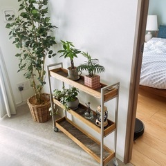 アデペシュ　ムービングワゴン