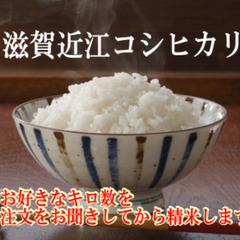 滋賀県産　コシヒカリ　30kg　1点のみ　4月入荷