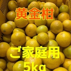 【受付終了】☆黄金柑☆秀・優品混合5kg☆小玉サイズ