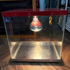 562 業務用フードケース