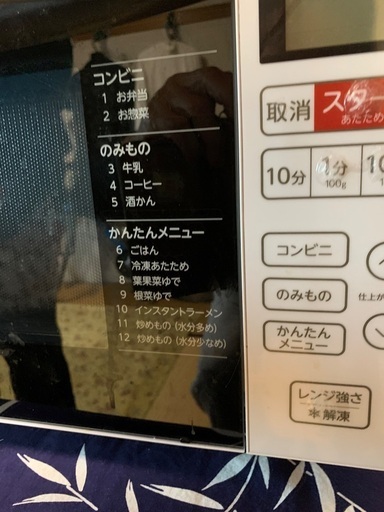 電子レンジ(数回使用しました)