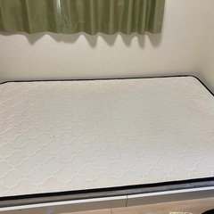 セミダブルベット