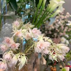 一緒に楽しく✨