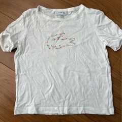 ラコステTシャツ　キッズ