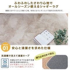 　【終了】円形　ラグの画像