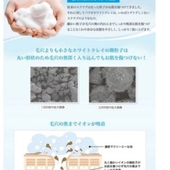 2本セット洗顔　PALAU BRIGHTの画像