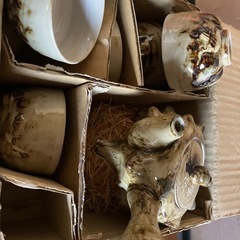 未使用★サザエっぽい茶器の画像