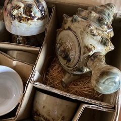 未使用★サザエっぽい茶器