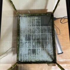 60cmワイド水槽セットの画像