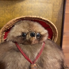 もふもふたぬきの置物