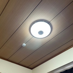 LEDシーリングライト