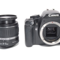 初心者にもおすすめ　Canon Kiss X2 ダブルレンズ　届いてすぐ使えるの画像