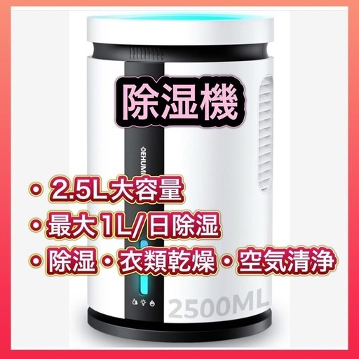 【新品】除湿機 小型 除湿器 衣類乾燥 空気清浄 除菌 2.5L大容量 ダブルペルチェ