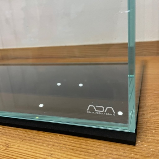 ADA アクアガーデン　水草　熱帯魚　　