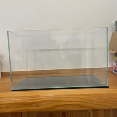 ADA アクアガーデン　水草　熱帯魚　　