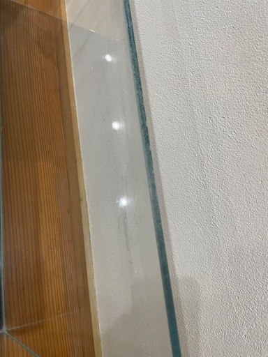 ADA アクアガーデン　水草　熱帯魚　　